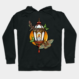 Moth lantern Hoodie